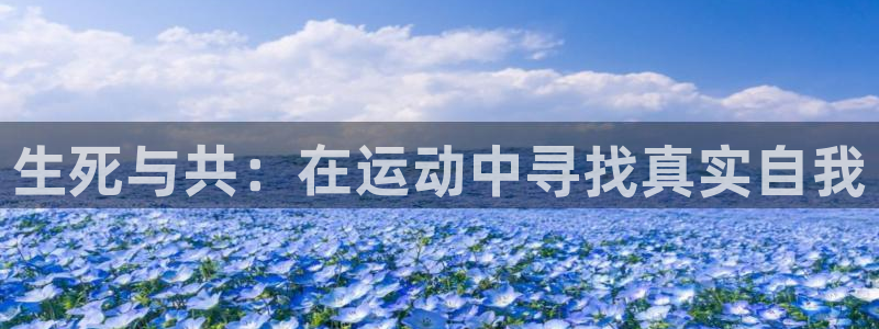 bbin视讯下