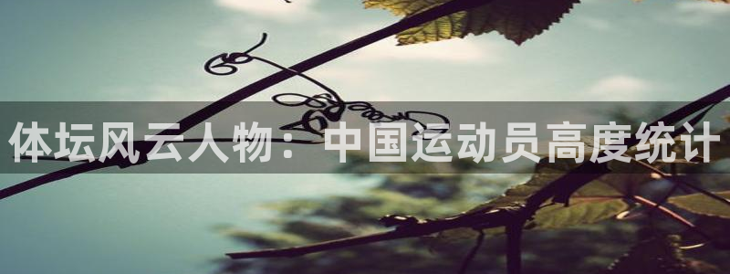 bbin视讯