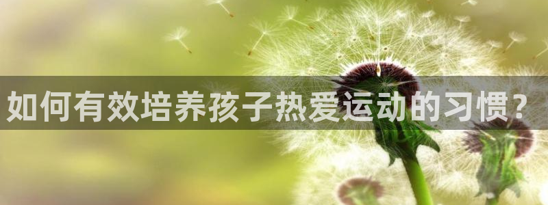 bbin视讯游戏平台