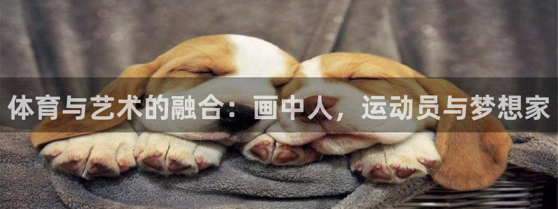 bbin视讯游戏平台