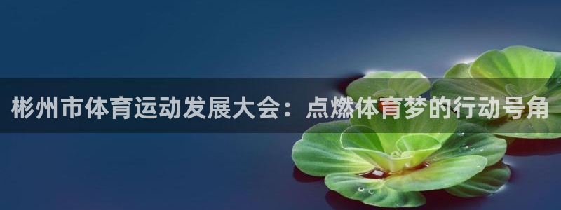 bbin视讯游戏平台