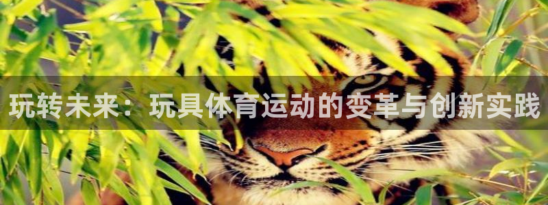 bbin视讯下