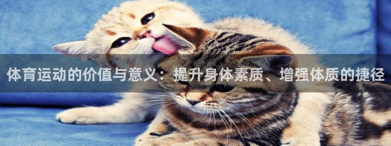 bbin视讯游戏官网