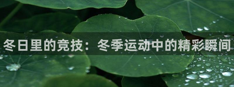 bbin视讯
