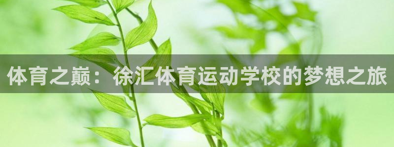 bbin视讯游戏平台