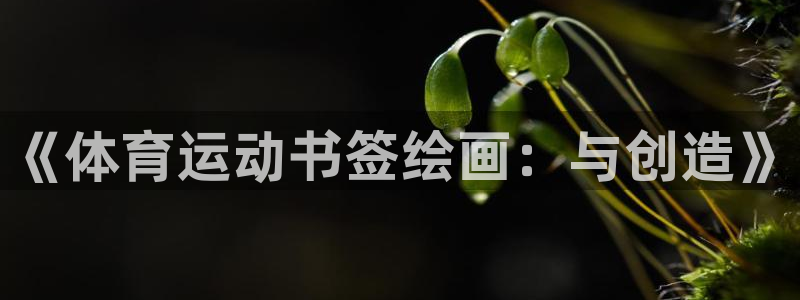bbin视讯游戏平台
